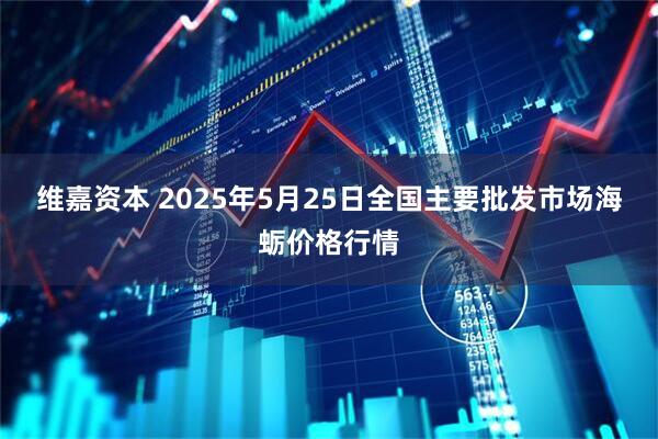 维嘉资本 2025年5月25日全国主要批发市场海蛎价格行情