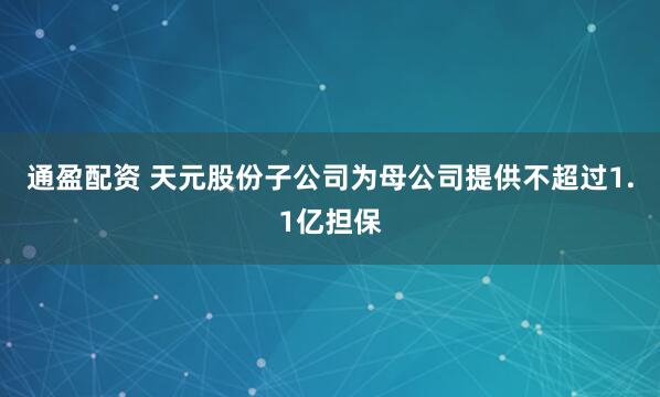 通盈配资 天元股份子公司为母公司提供不超过1.1亿担保